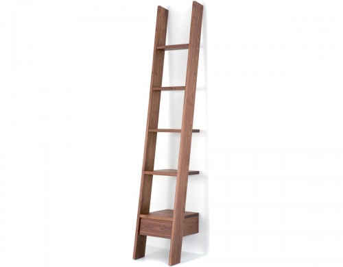 bookcase ladder